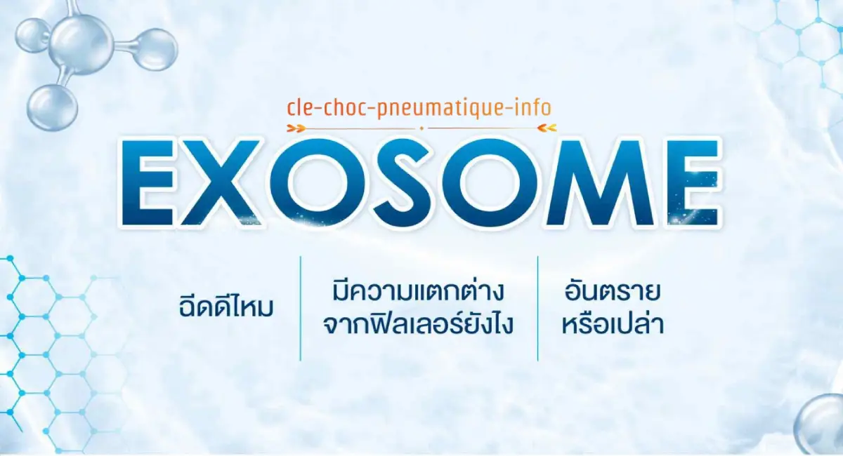 exosome คืออะไร ช่วยฟื้นฟูผิวของเราอย่างไร