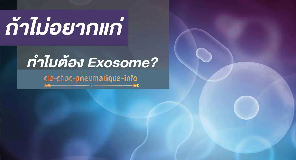 ฟื้นฟูผิวเร่งด่วน exosome คืออะไร